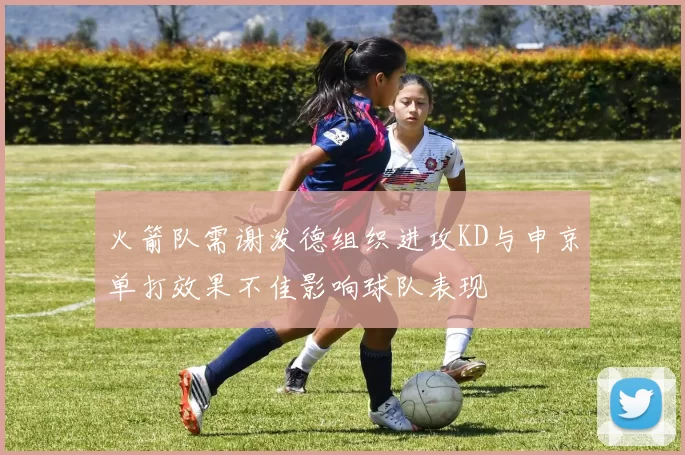 火箭队需谢泼德组织进攻KD与申京单打效果不佳影响球队表现