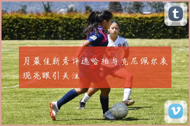 月最佳新秀评选哈珀与克尼佩尔表现亮眼引关注